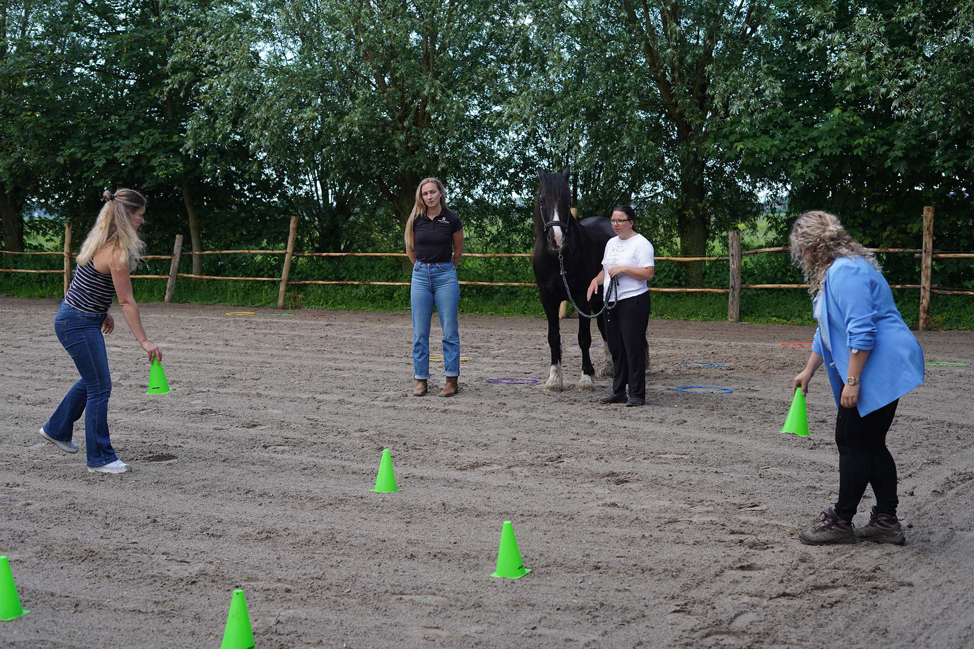Paard en bedrijfstraining - bedrijfsuitje paardencoaching
